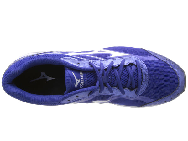 Mizuno wave best sale ascend 4 purple